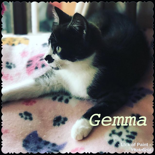 Photo of Gemma
