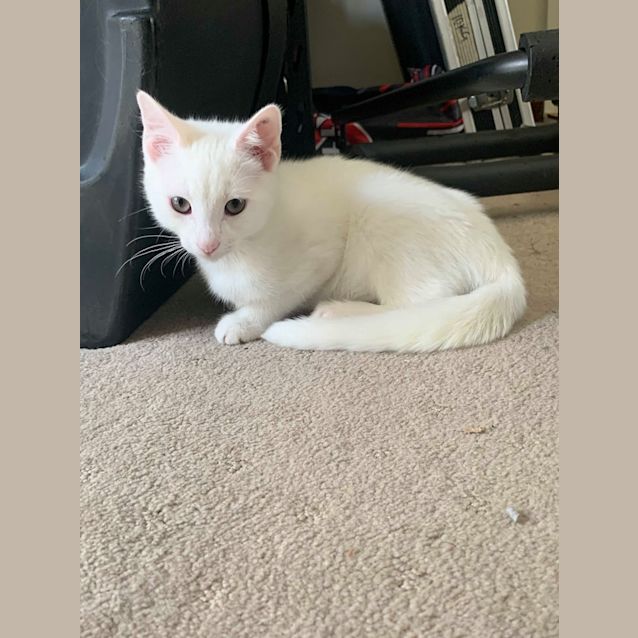 Photo of Glenn, Doyle & Greta