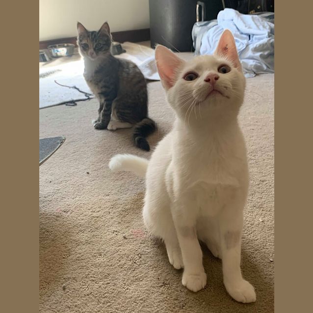 Photo of Glenn, Doyle & Greta