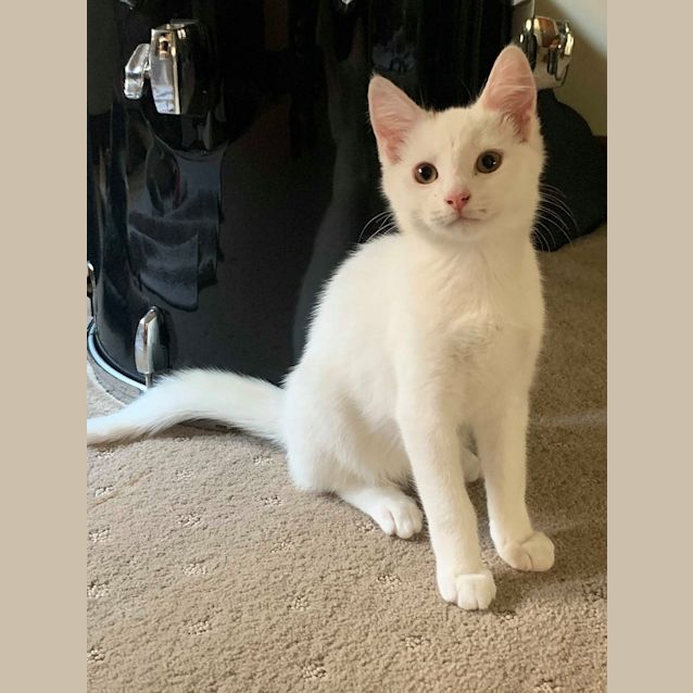 Photo of Glenn, Doyle & Greta