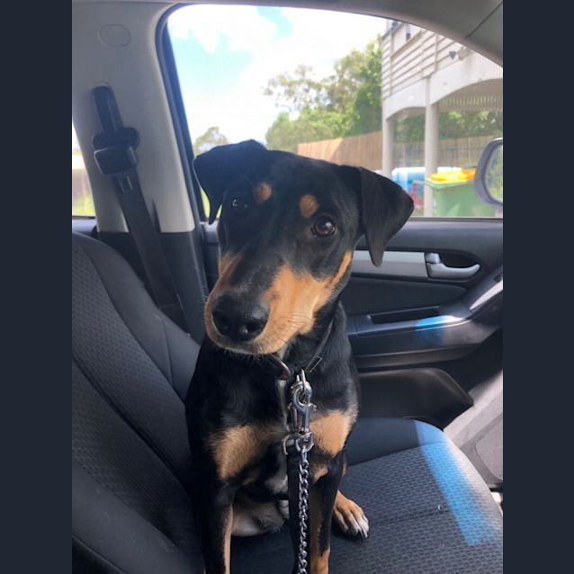 Photo of Libby 🌼🌼🌼