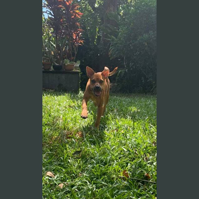 Photo of Delilah