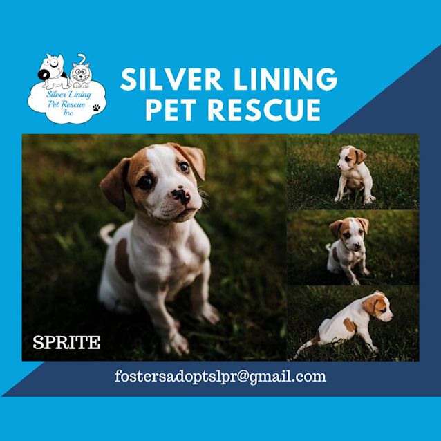 Photo of Sprite