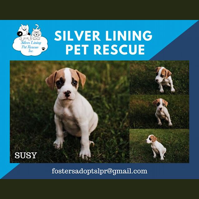Photo of Susy