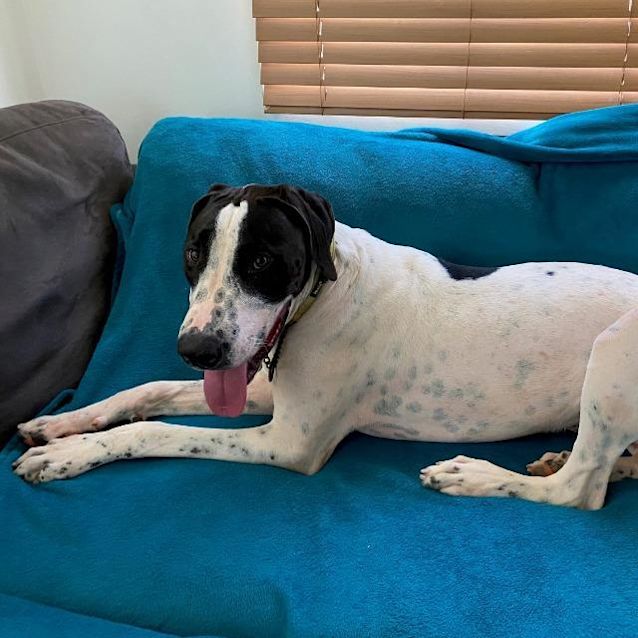 Photo of Tank