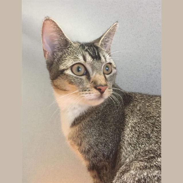 Photo of Jesse
