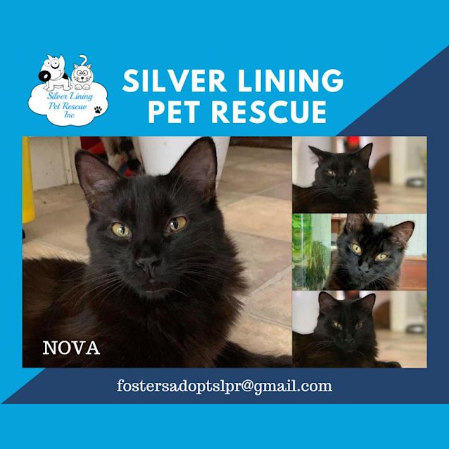 Photo of Nova
