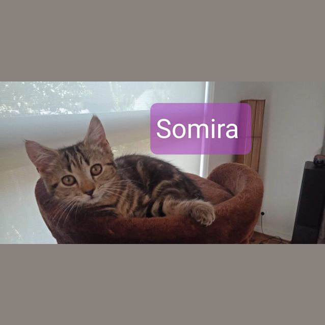 Photo of Somira ❤