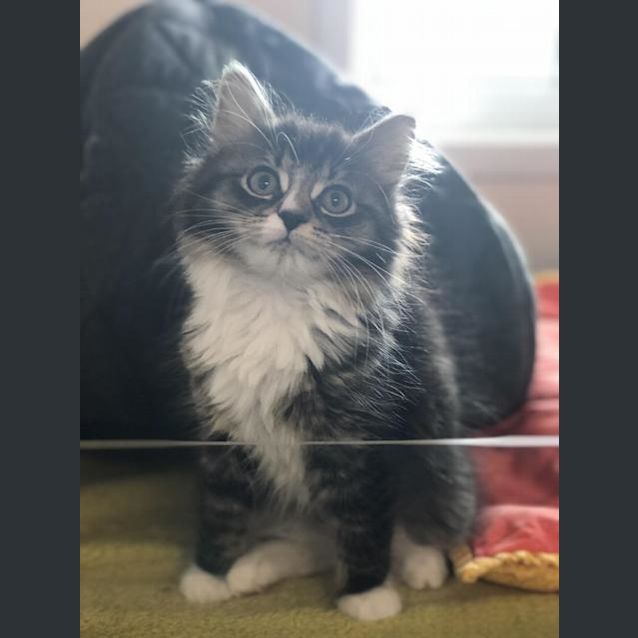 Photo of Victoria