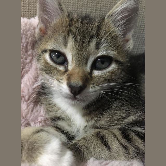 Photo of Quincy