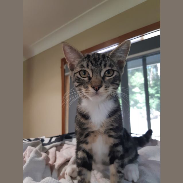 Photo of Fred
