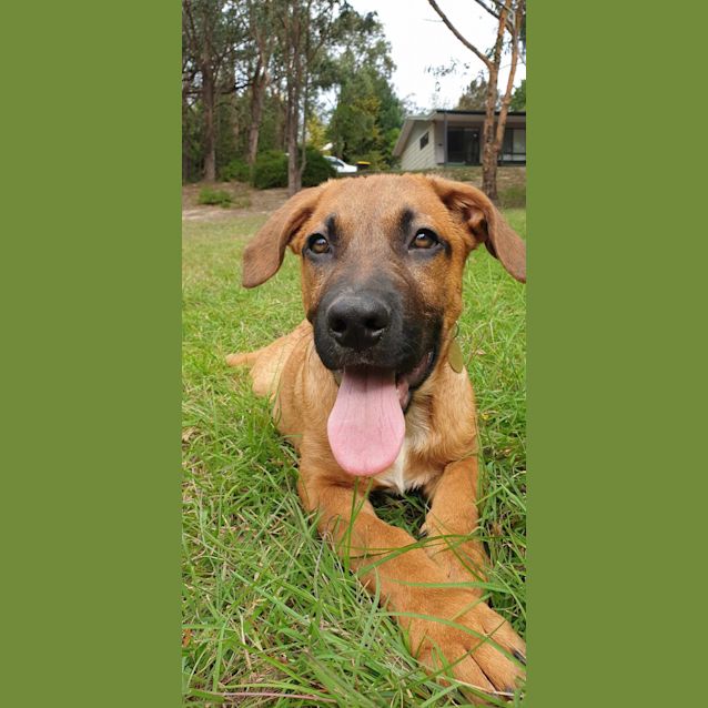 Photo of Keifer