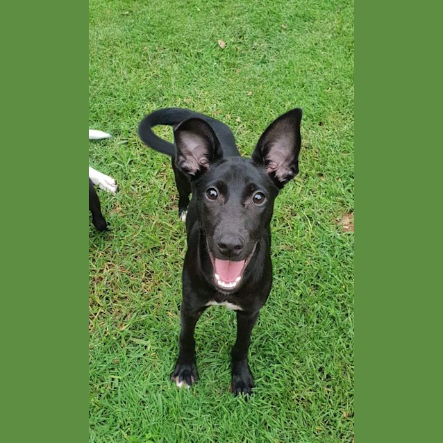 Photo of Tia
