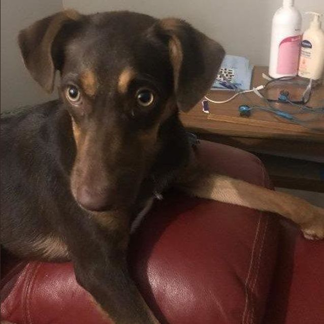 Photo of Coco