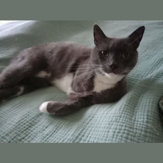 Photo of Sammy