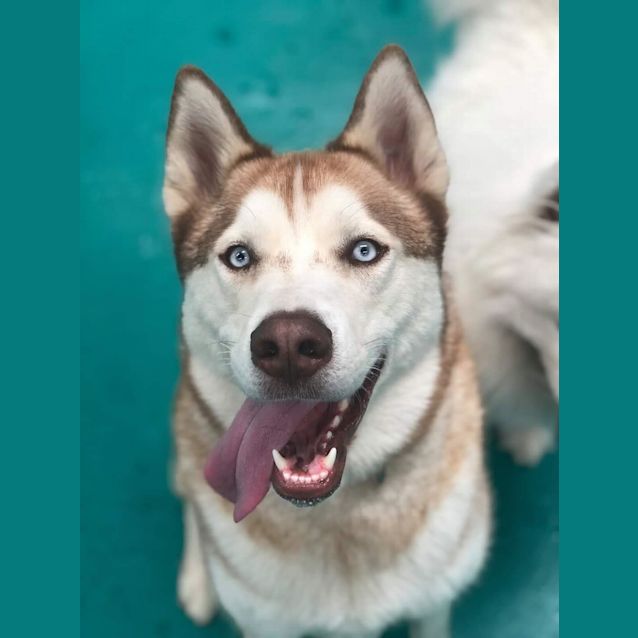 Photo of Rufus & Cami