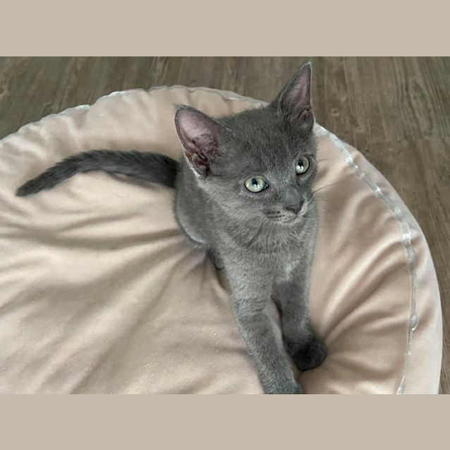 Photo of Charlie 