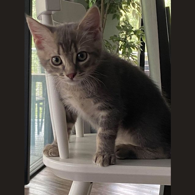 Photo of Spike 