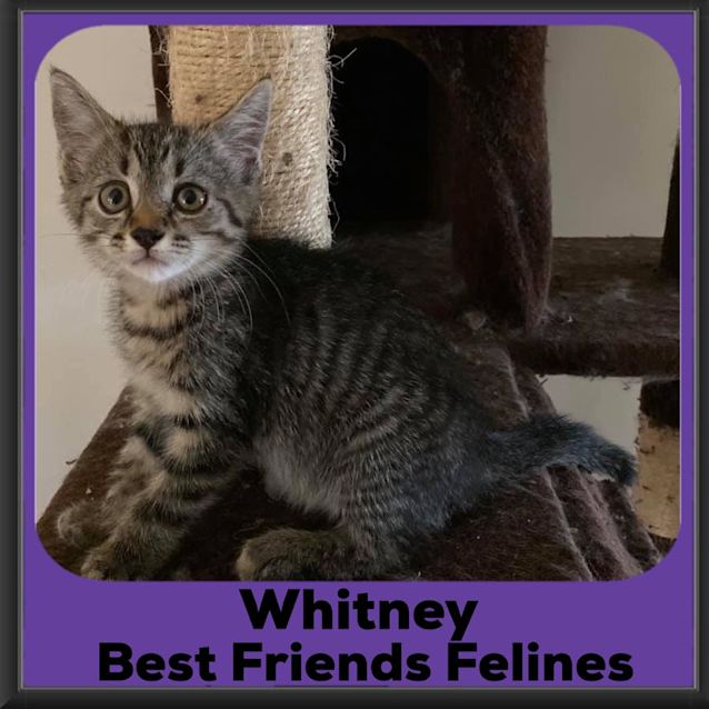 Photo of Whitney 