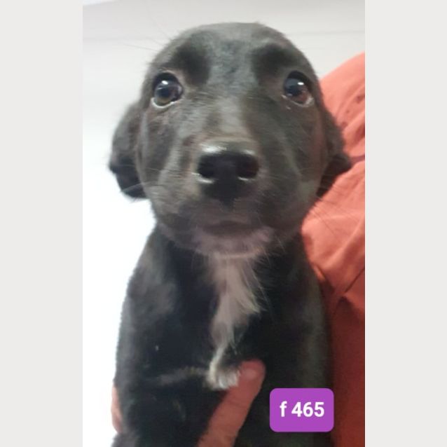 Photo of Sooty