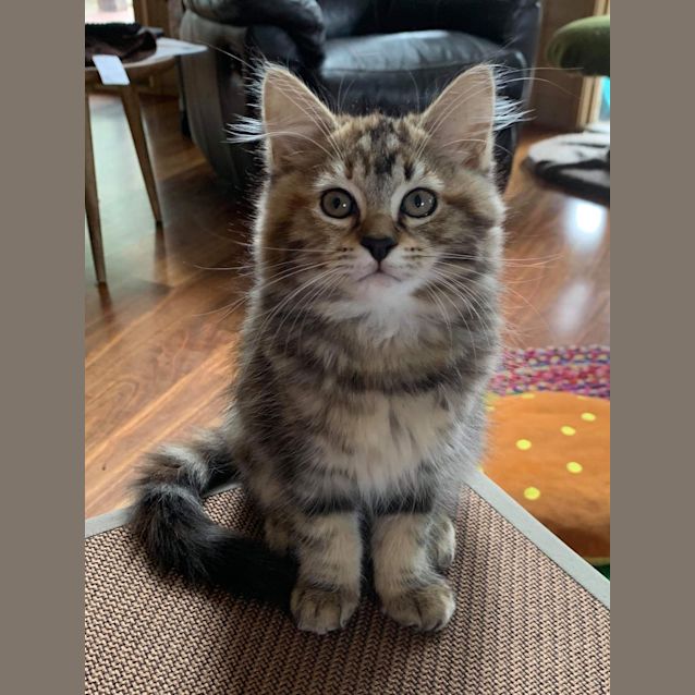 Photo of Elsie ❤