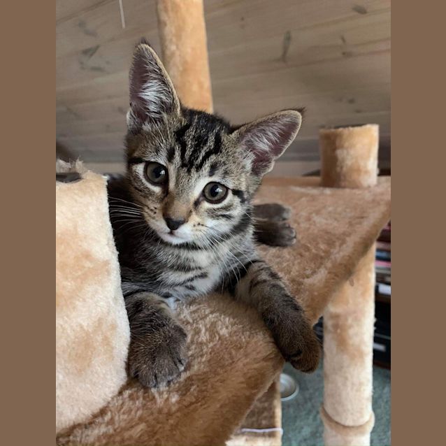 Photo of Electra ❤