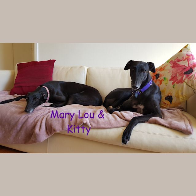 Photo of Kitty And Mary Lou