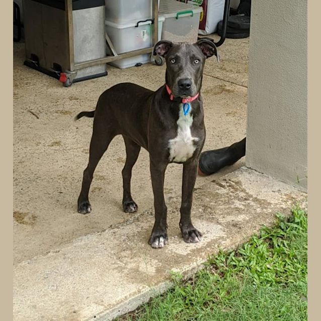 Photo of Sapphire 