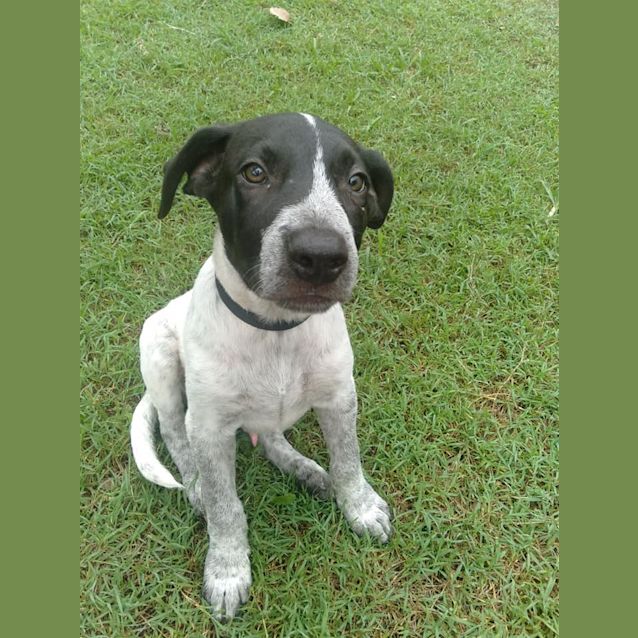 Photo of Vader 