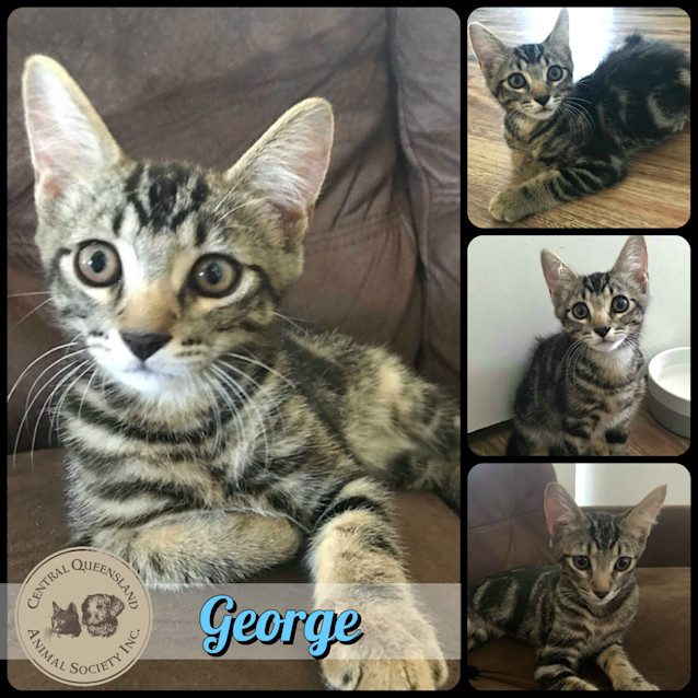 Photo of George 