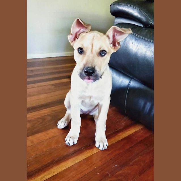 Photo of Laurel