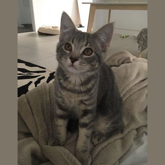 Photo of Otis