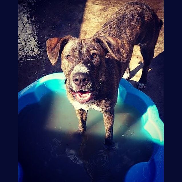 Photo of Nyla 🌸🌺🌸🌺