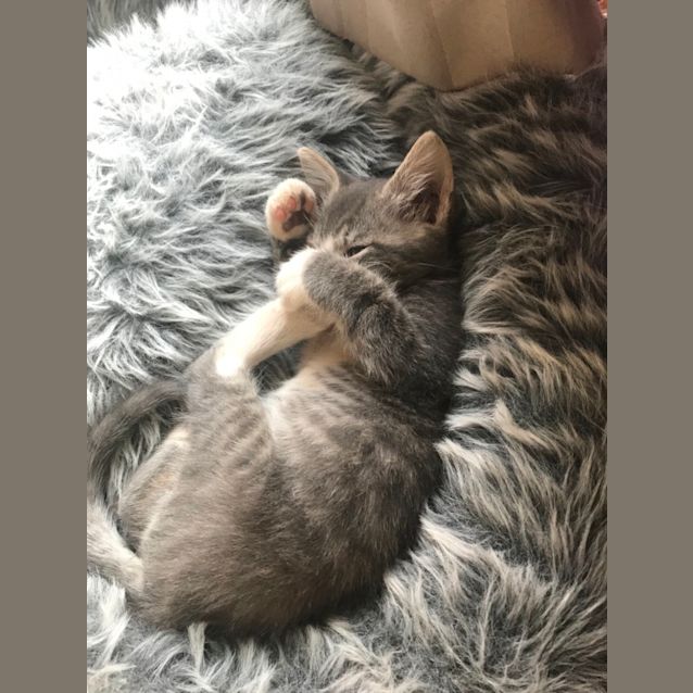 Photo of Little One 