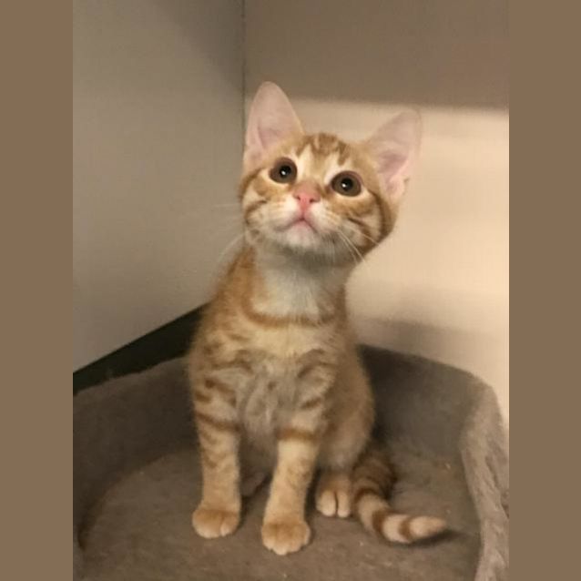 Photo of Calvin