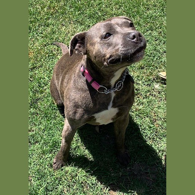 Photo of 💜Indigo💜