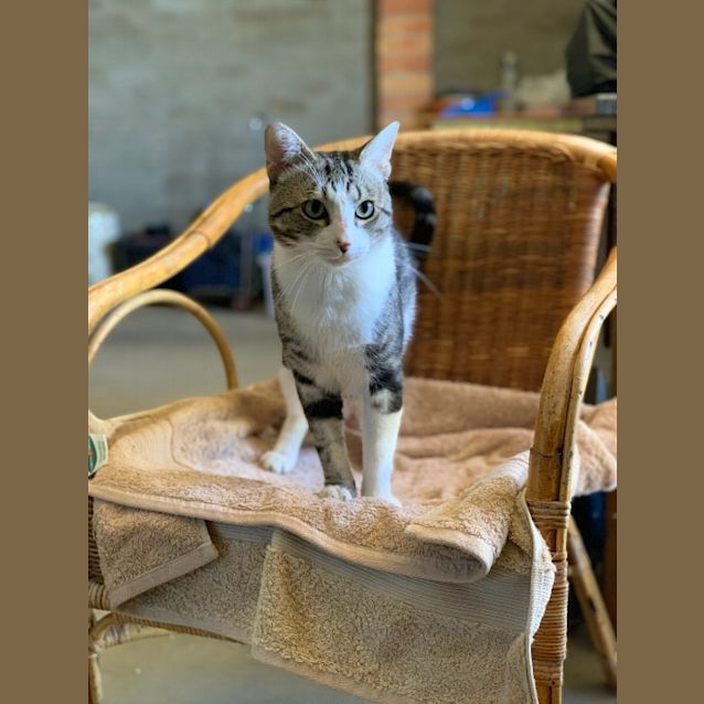 Photo of Clifton