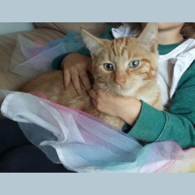 Photo of Jasper