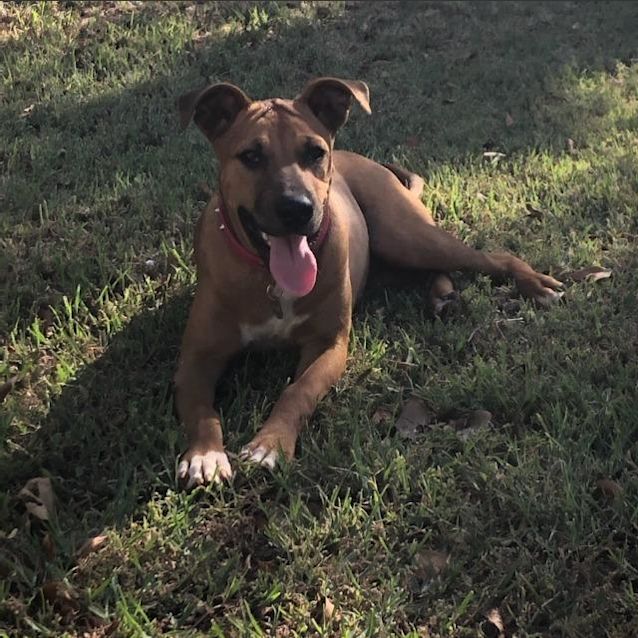 Photo of Ruby