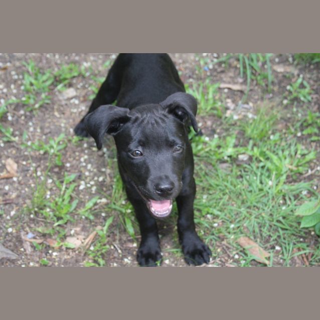 Photo of Duke