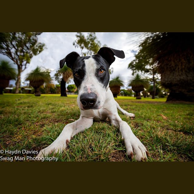 Photo of Zeus Dl2378