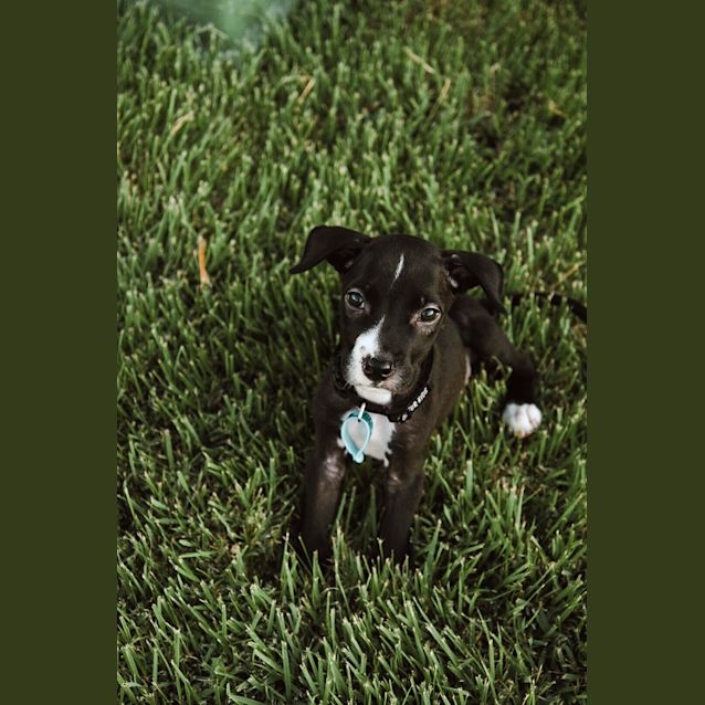 Photo of Mickey 