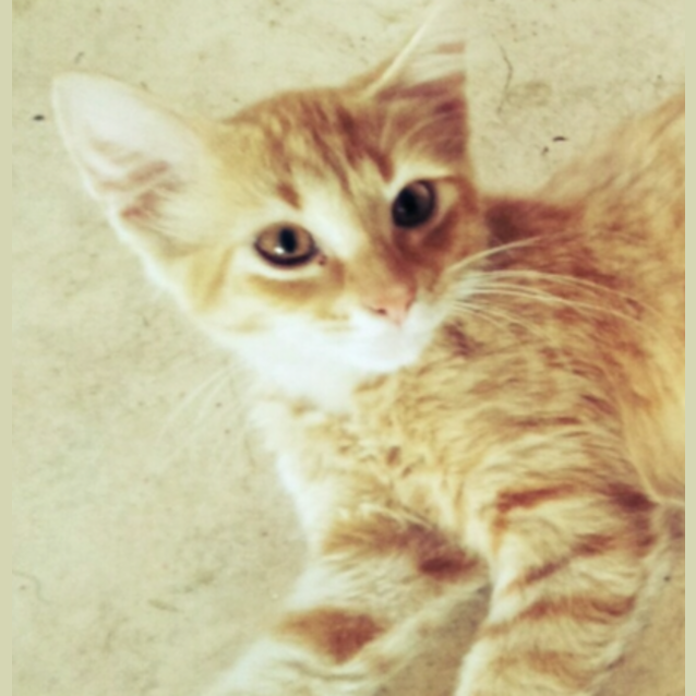 Photo of Sir