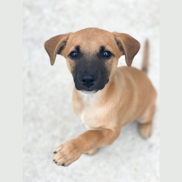 Photo of Betty
