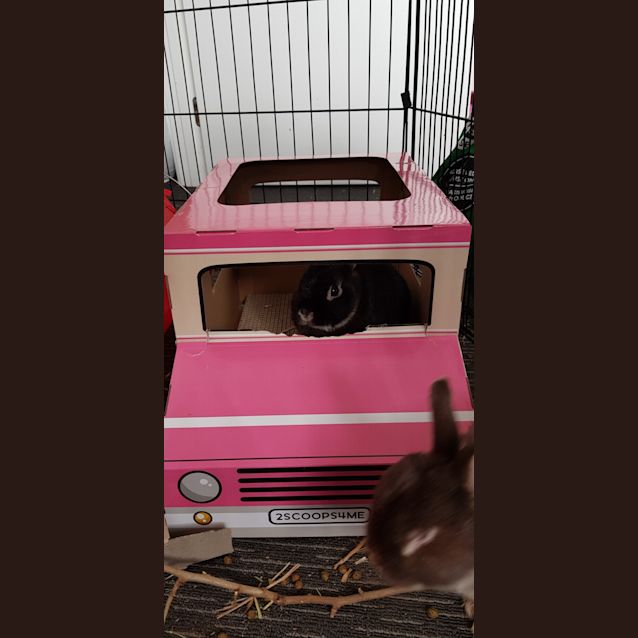 Photo of Bean & Taco