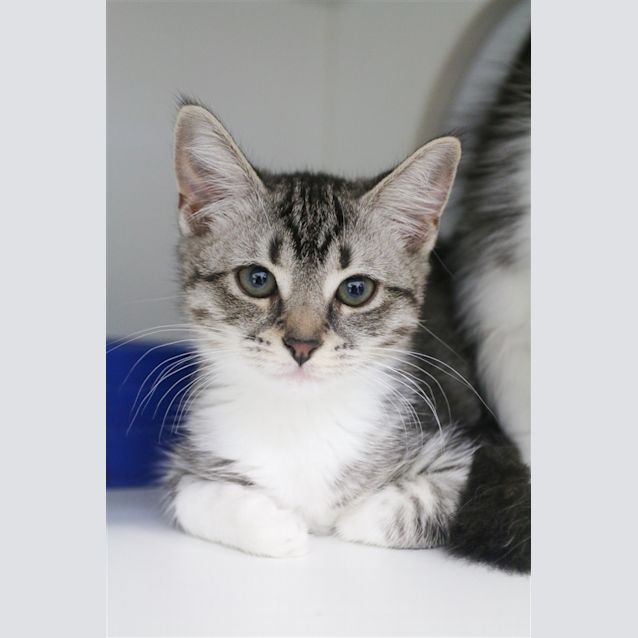Photo of Skye
