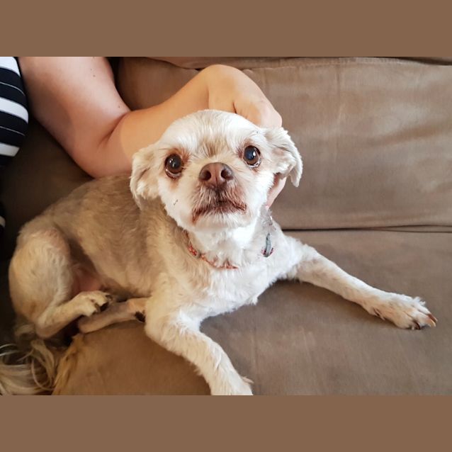 Photo of Bonnie Dl2405 