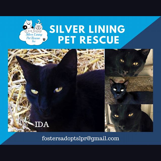 Photo of Ida