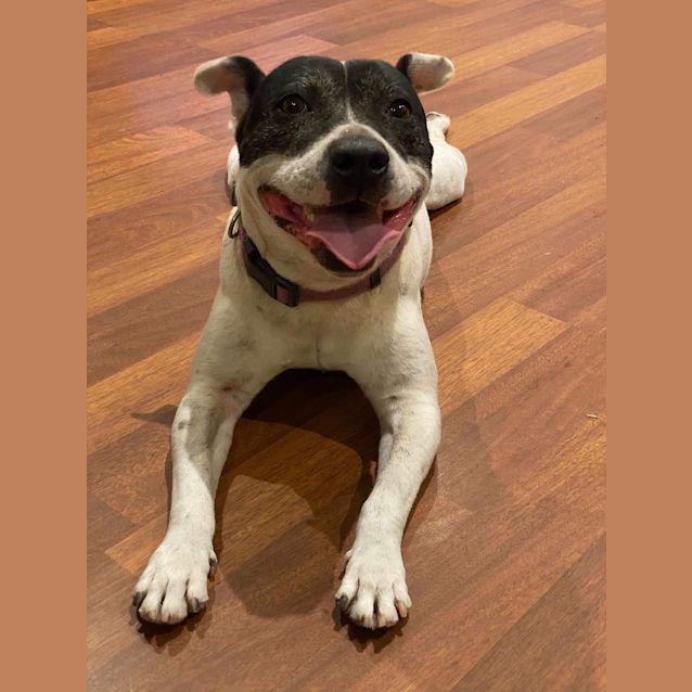 Photo of Jess  ** On Trial **