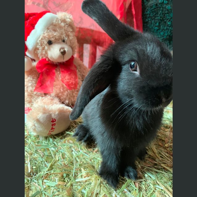 Photo of Starry Night 